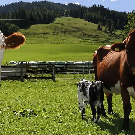 Reith-gut 3* Mühlbach am Hochkönig